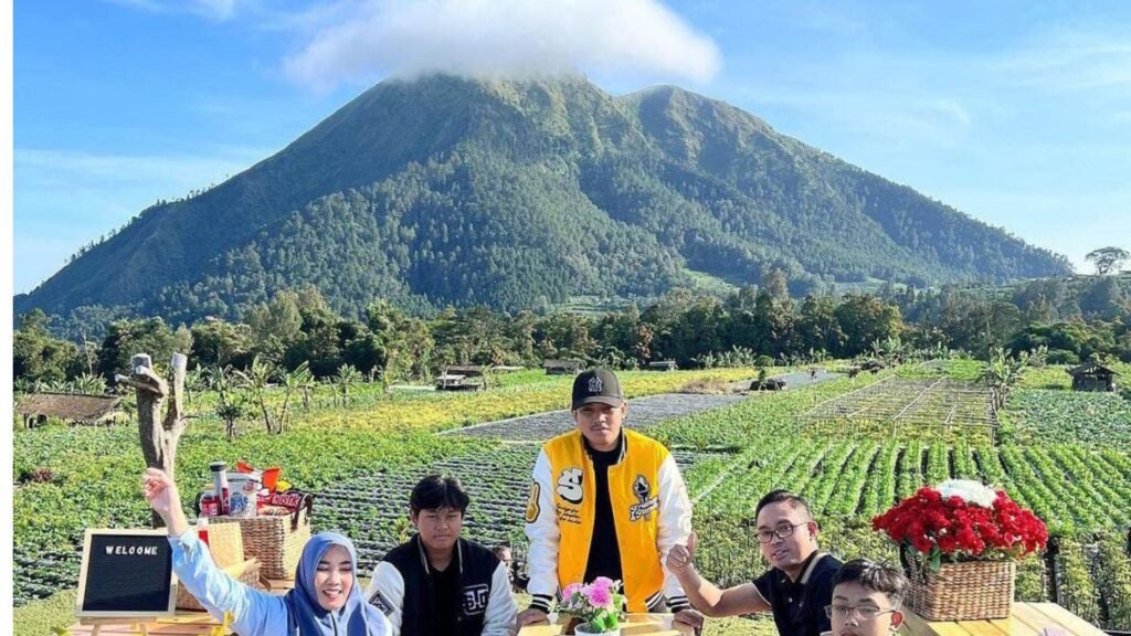 tempat makan magelang view bagus 